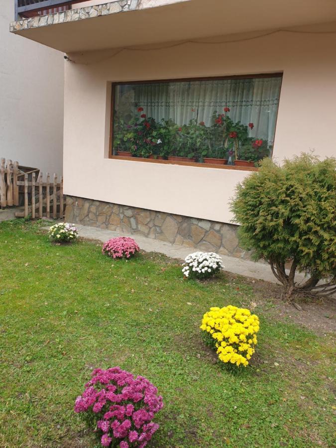 Pensiunea Bradul,Moieciu de Sus Moeciu De Sus Exterior foto